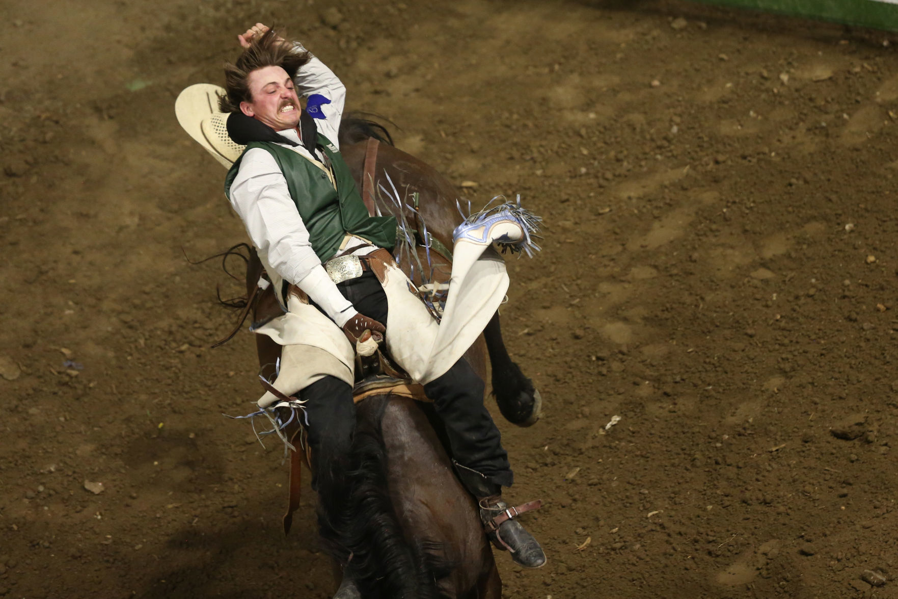 CNFR